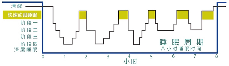 lgysm01.jpg